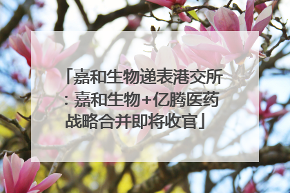 嘉和生物递表港交所：嘉和生物+亿腾医药战略合并即将收官