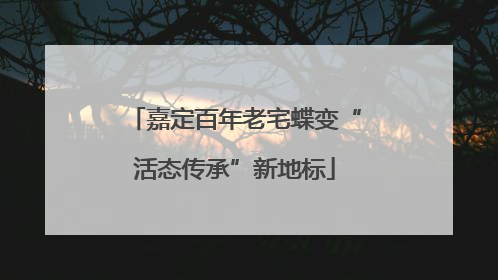 嘉定百年老宅蝶变“活态传承”新地标