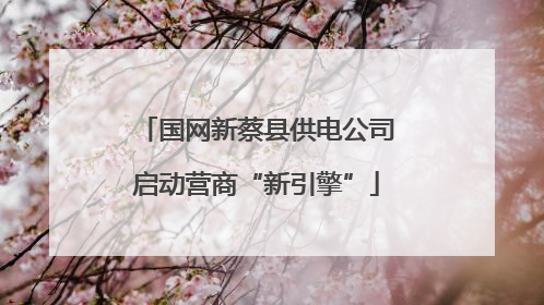 国网新蔡县供电公司启动营商“新引擎”