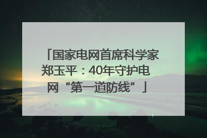 国家电网首席科学家郑玉平：40年守护电网“第一道防线”