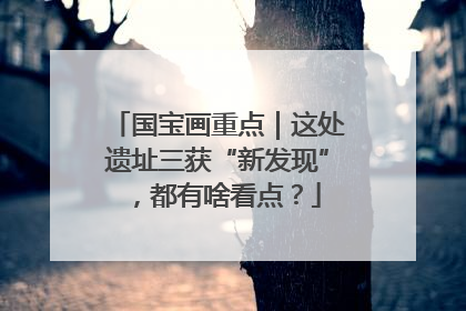 国宝画重点｜这处遗址三获“新发现”，都有啥看点？