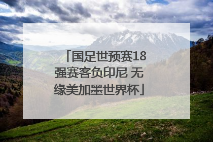 国足世预赛18强赛客负印尼 无缘美加墨世界杯