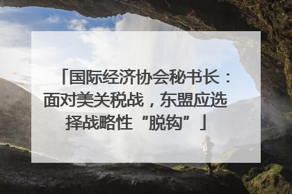 国际经济协会秘书长：面对美关税战，东盟应选择战略性“脱钩”