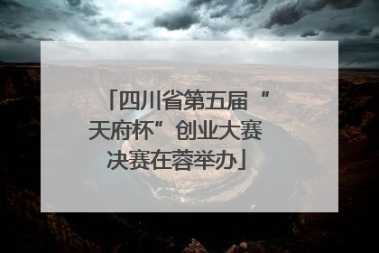 四川省第五届“天府杯”创业大赛决赛在蓉举办
