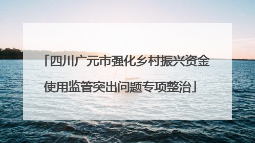 四川广元市强化乡村振兴资金使用监管突出问题专项整治