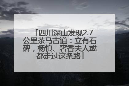 四川深山发现2.7公里茶马古道：立有石碑，杨慎、奢香夫人或都走过这条路