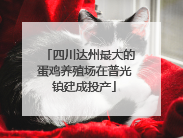 四川达州最大的蛋鸡养殖场在普光镇建成投产