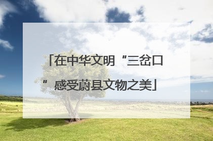 在中华文明“三岔口”感受蔚县文物之美