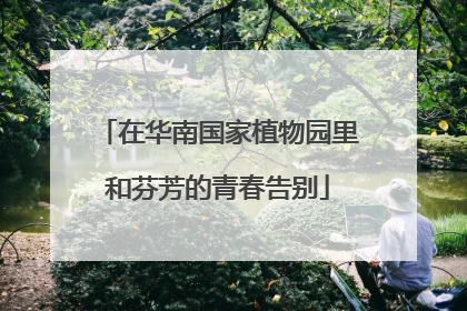 在华南国家植物园里和芬芳的青春告别