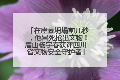在崖墓坍塌前几秒，他冒死抢出文物！眉山杨宇春获评四川省文物安全守护者