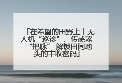 在希望的田野上丨无人机“巡诊”、传感器“把脉” 解锁田间地头的丰收密码