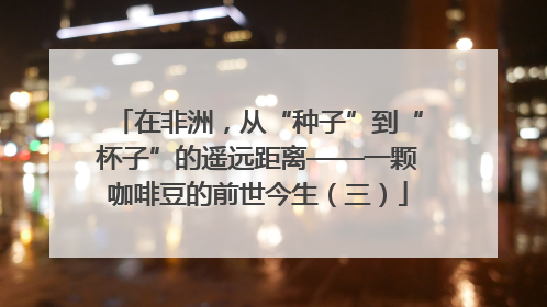 在非洲，从“种子”到“杯子”的遥远距离——一颗咖啡豆的前世今生（三）