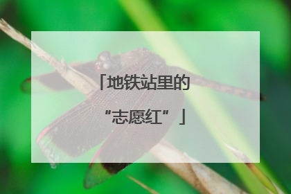 地铁站里的“志愿红”