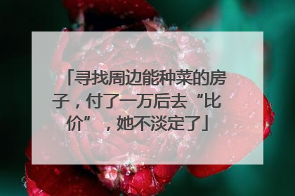 寻找周边能种菜的房子，付了一万后去“比价”，她不淡定了