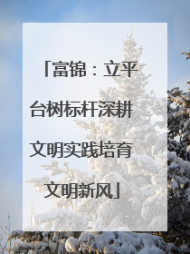 富锦：立平台树标杆深耕文明实践培育文明新风