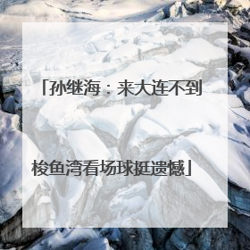 孙继海：来大连不到梭鱼湾看场球挺遗憾