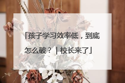 孩子学习效率低，到底怎么破？｜校长来了