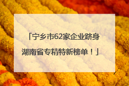 宁乡市62家企业跻身湖南省专精特新榜单！