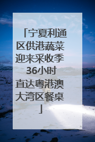 宁夏利通区供港蔬菜迎来采收季 36小时直达粤港澳大湾区餐桌