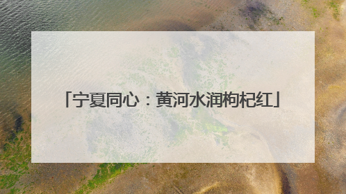宁夏同心：黄河水润枸杞红