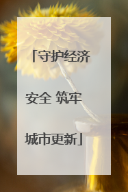 守护经济安全 筑牢城市更新