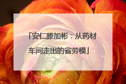 安仁滕加彬：从药材车间走出的省劳模