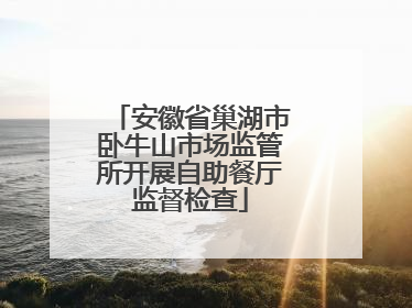 安徽省巢湖市卧牛山市场监管所开展自助餐厅监督检查