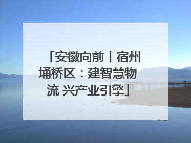 安徽向前丨宿州埇桥区：建智慧物流 兴产业引擎
