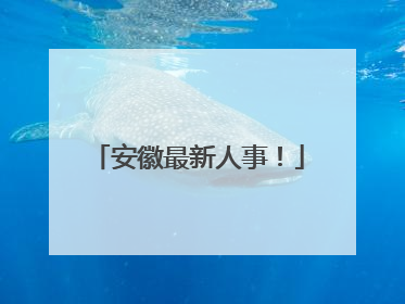 安徽最新人事！