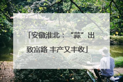 安徽淮北：“蒜”出致富路 丰产又丰收