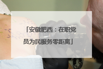 安徽肥西：在职党员为民服务零距离