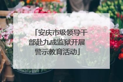 安庆市级领导干部赴九成监狱开展警示教育活动