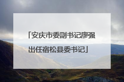 安庆市委副书记廖强出任宿松县委书记