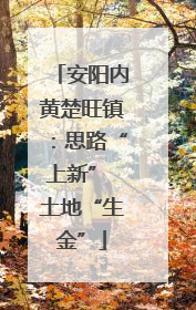 安阳内黄楚旺镇：思路“上新” 土地“生金”