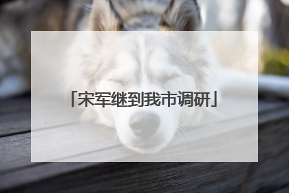 宋军继到我市调研