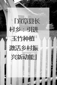 宜章县长村乡：引进玉竹种植 激活乡村振兴新动能