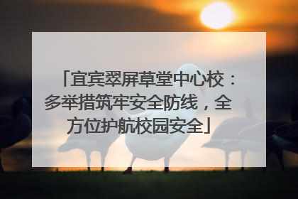 宜宾翠屏草堂中心校：多举措筑牢安全防线，全方位护航校园安全