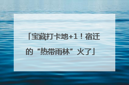宝藏打卡地+1！宿迁的“热带雨林”火了