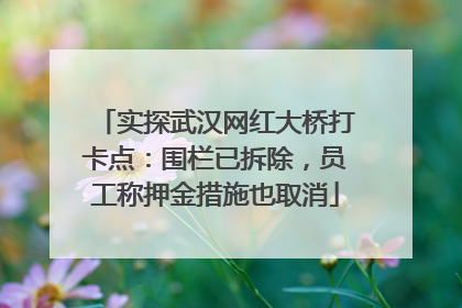 实探武汉网红大桥打卡点：围栏已拆除，员工称押金措施也取消