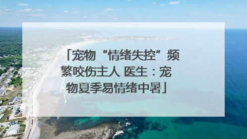 宠物“情绪失控”频繁咬伤主人 医生：宠物夏季易情绪中暑