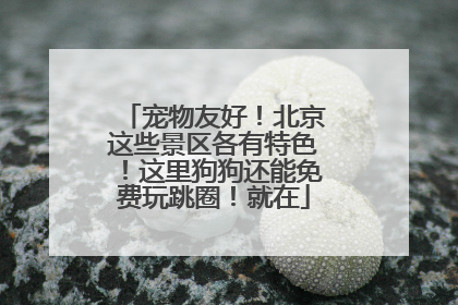 宠物友好！北京这些景区各有特色！这里狗狗还能免费玩跳圈！就在