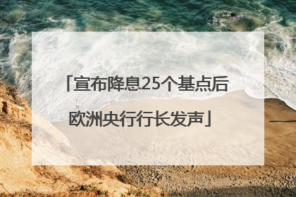 宣布降息25个基点后 欧洲央行行长发声