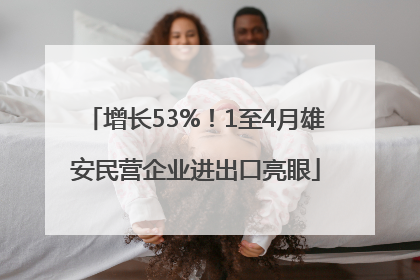 增长53%！1至4月雄安民营企业进出口亮眼