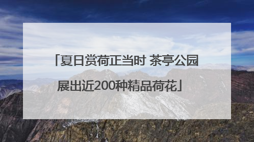 夏日赏荷正当时 茶亭公园展出近200种精品荷花