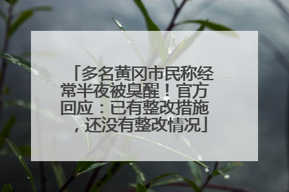 多名黄冈市民称经常半夜被臭醒！官方回应：已有整改措施，还没有整改情况