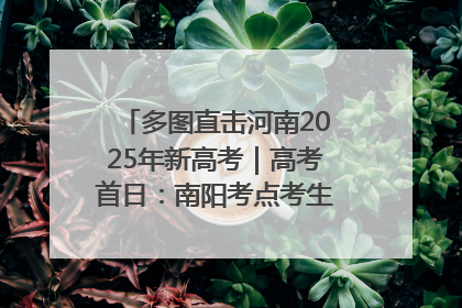 多图直击河南2025年新高考｜高考首日：南阳考点考生信心满满迎战