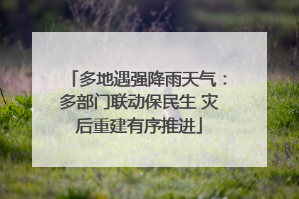 多地遇强降雨天气：多部门联动保民生 灾后重建有序推进