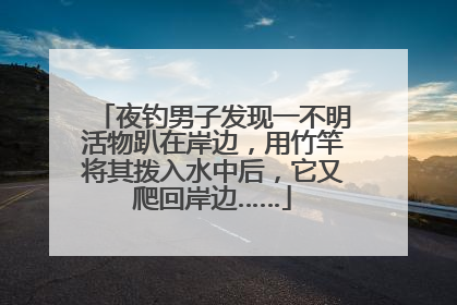 夜钓男子发现一不明活物趴在岸边，用竹竿将其拨入水中后，它又爬回岸边……