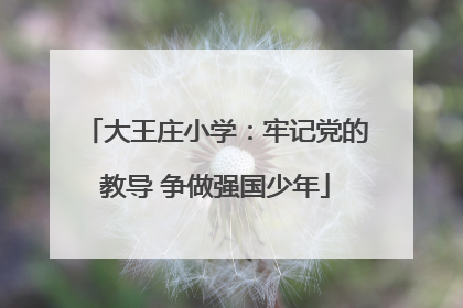 大王庄小学：牢记党的教导 争做强国少年