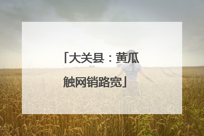大关县：黄瓜触网销路宽